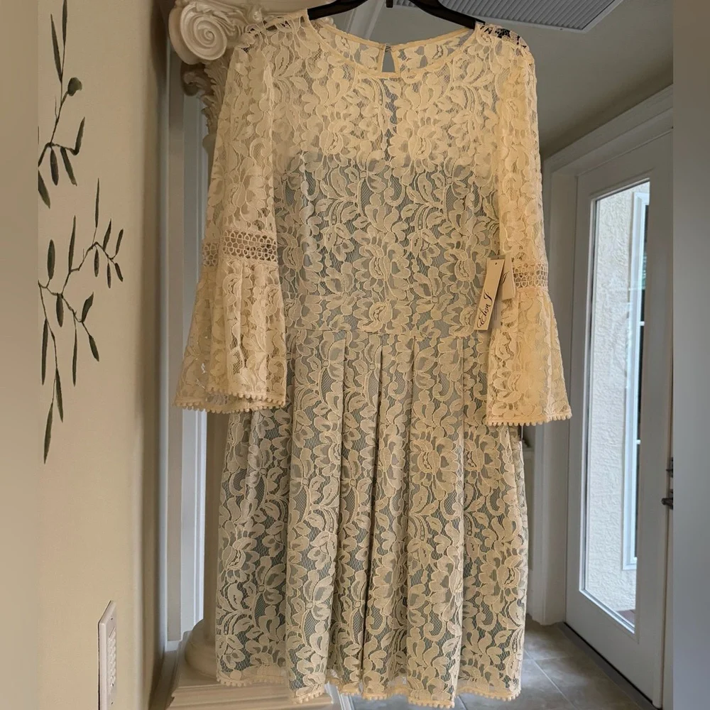 Eliza J Cream Lace Midi Dress - Picture 3 of 3